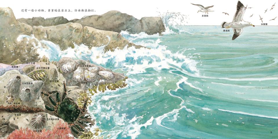 海边的动物 (10),绘本,绘本故事,绘本阅读,故事书,童书,图画书,课外阅读